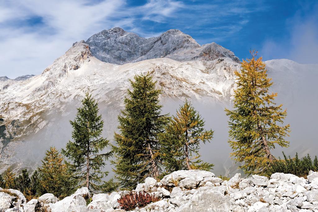 Farmhouse Pri Miklavu Bohinj ภายนอก รูปภาพ