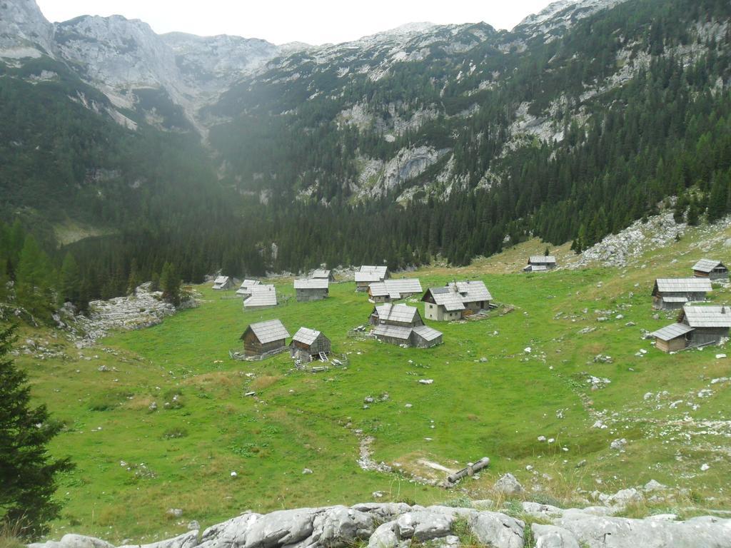 Farmhouse Pri Miklavu Bohinj ภายนอก รูปภาพ