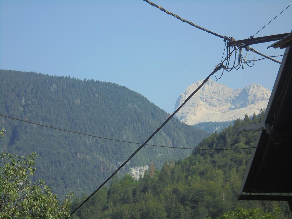 Farmhouse Pri Miklavu Bohinj ภายนอก รูปภาพ
