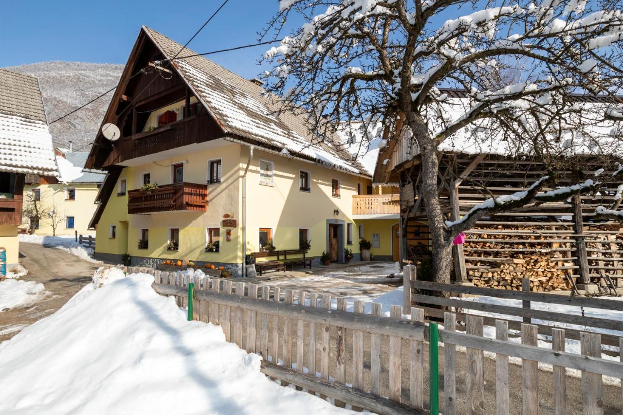 Farmhouse Pri Miklavu Bohinj ภายนอก รูปภาพ